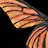 Wing 10