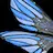 Wing 9